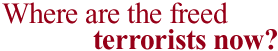 Where are the freed terrorists now?