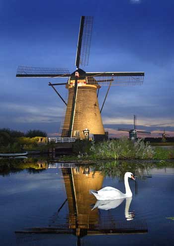A swan swims in front of a lit-up windmill at dusk in Kinderdijk, the Netherlands.