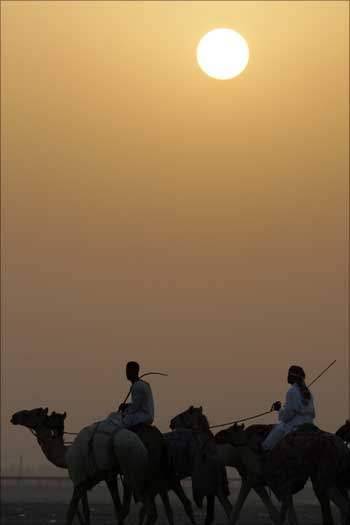 Camel jockeys train under the morning sun at Nad al-Sheba race track in Dubai, Saudi Arabia.